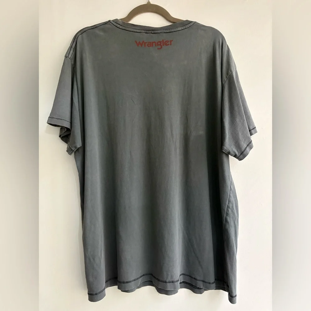 Free People Wrangler Oversized Tiger Tee🔥 - Picture 3 of 16